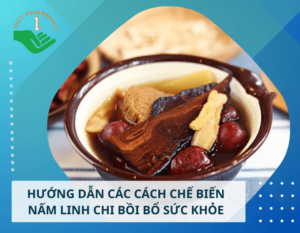che-bien-nam-linh-chi-thumbnail