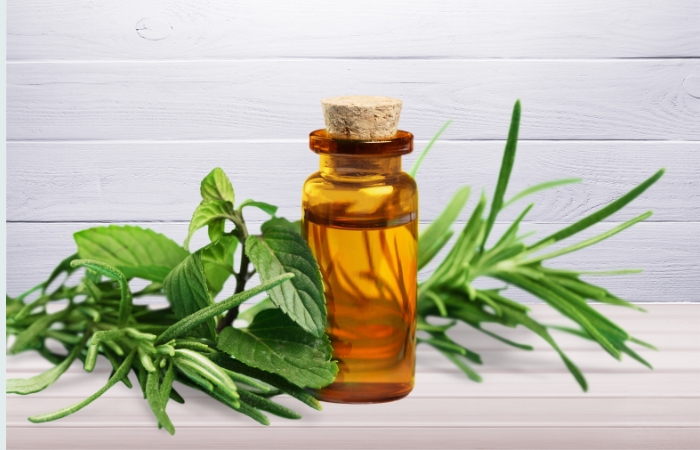 Chữa viêm lợi nhanh chóng tại nhà bằng tinh dầu tràm trà