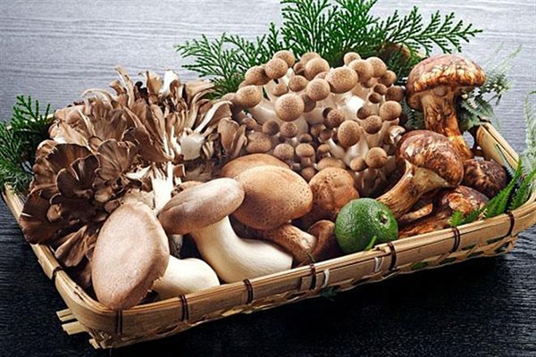 Có rất nhiều loại nấm khác nhau và có tác dụng giảm cân khác nhau