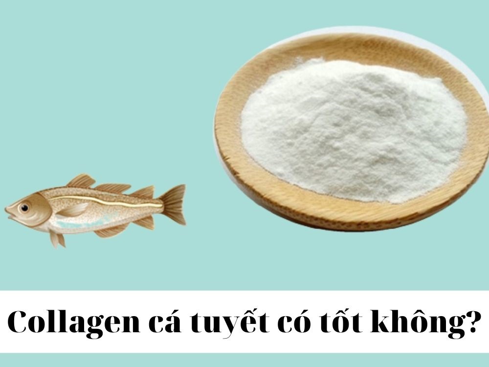 Collagen cá tuyết có tốt không?