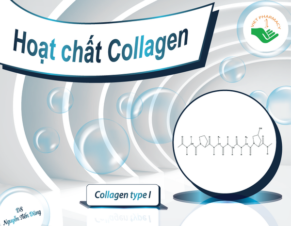 Collagen loại I từ da cá là hoạt chất có trong sản phẩm