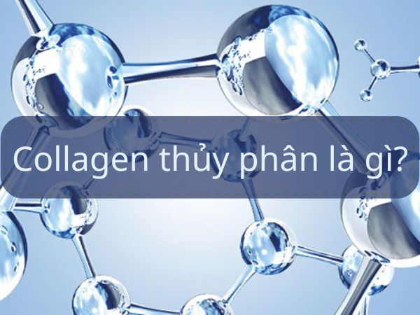 Collagen thủy phân là gì?