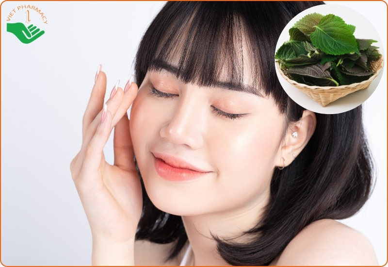 Lá tía tô có công dụng tuyệt vời trong việc dưỡng trắng làn da