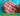 dat-vong-tranh-thai-bao-lau-thi-quan-he-duoc-thumb