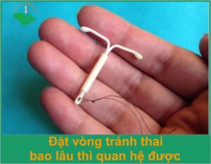 dat-vong-tranh-thai-bao-lau-thi-quan-he-duoc-thumb