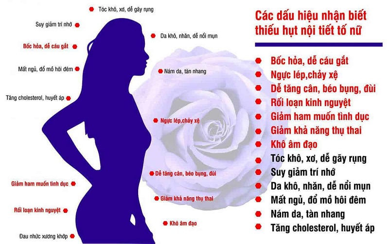 Dấu hiệu nhận biết rối loạn nội tiết tố Estrogen ở nữ