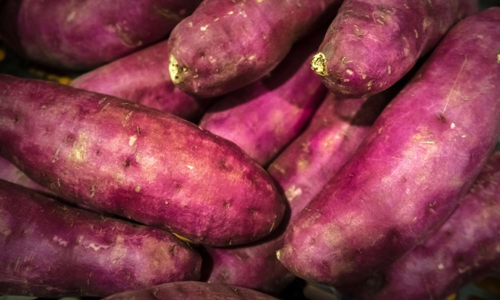 Khoai lang giàu beta carotene hỗ trợ sự phát triển của mắt, da và hệ miễn dịch của thai nhi