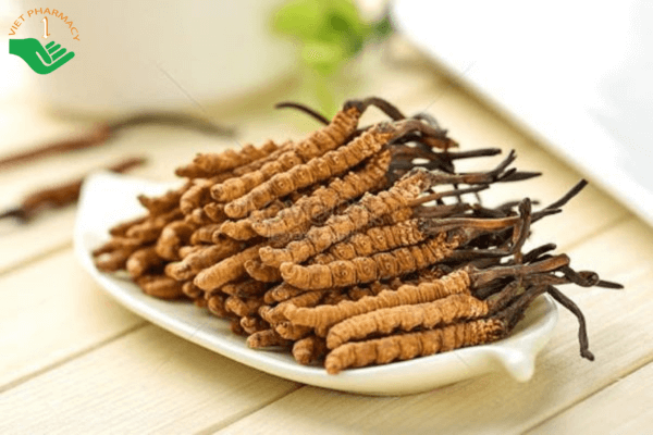 Đông trùng hạ thảo Đà Nẵng