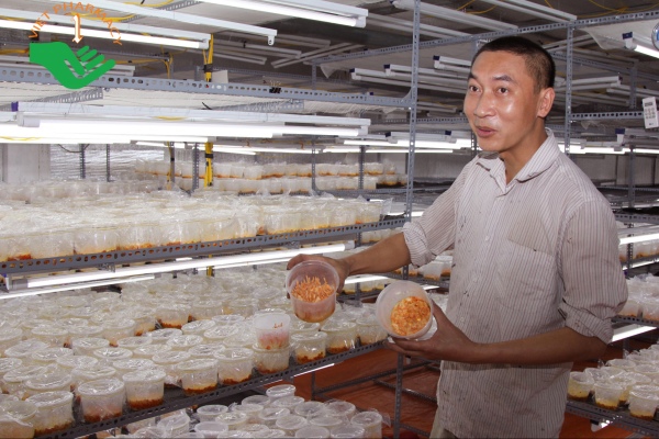 Cơ sở của anh Cương có sức chứa tới 10000 lọ nấm