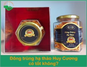 dong-trung-ha-thao-huy-cuong-thumb