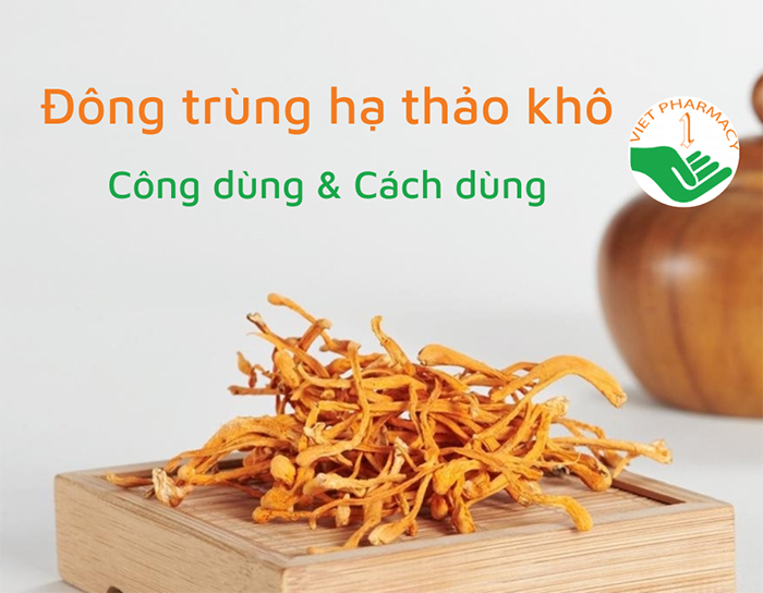Đông trùng hạ thảo khô - Công dụng và cách dùng hiệu quả
