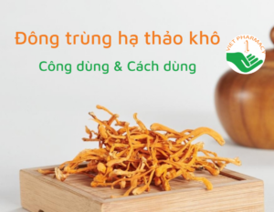 dong-trung-ha-thao-kho-cong-dung-va-cach-dung