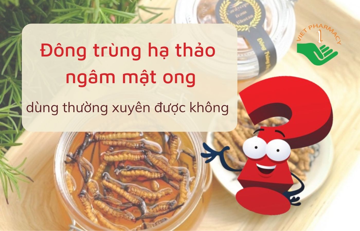Dùng đông trùng hạ thảo ngâm mật ong thường xuyên được hay không?