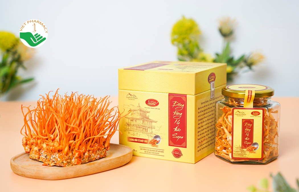 Đông trùng hạ thảo Sapa