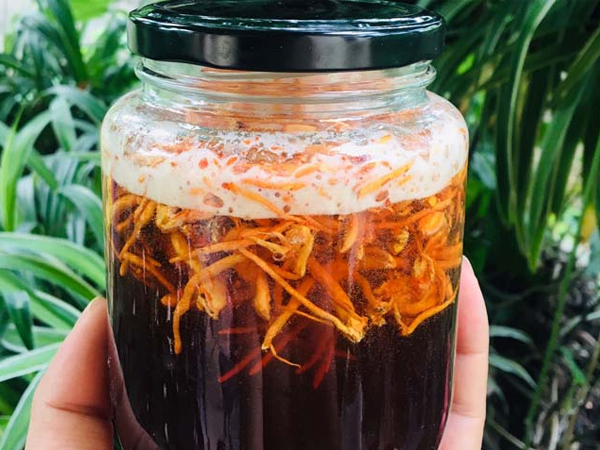 Đông trùng hạ thảo tươi ngâm mật ong