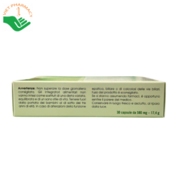 Thực phẩm bảo vệ sức khỏe Green Sun Lung Tonic (Hộp 30 Viên)
