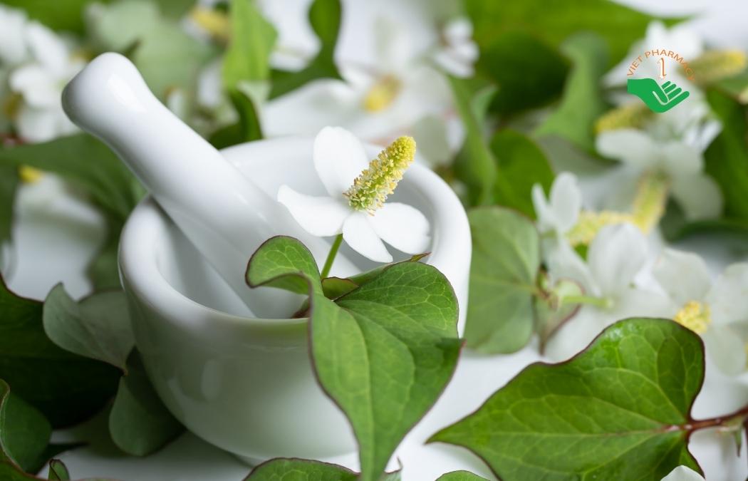 Giã rau diếp cá giúp bé hạ sốt hiệu quả