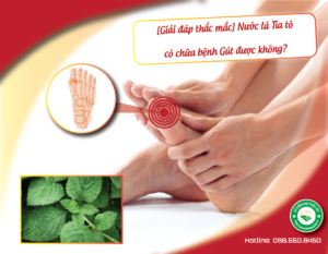 giai-dap-thac-mac-nuoc-la-tia-to-co-chua-gut-duoc-khong