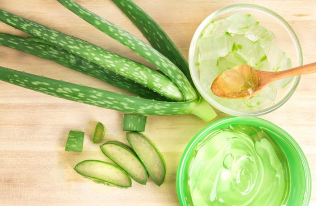 Hàm lượng vitamin và khoáng chất trong nha đam hỗ trợ làm trắng da, dưỡng ẩm và ngừa thầm hiệu quả