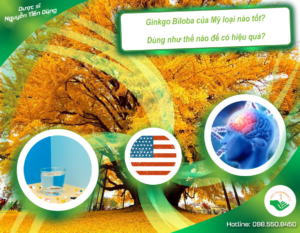 ginkgo-biloba-cua-my-loai-nao-tot-dung-nhu-the-nao-de-co-hieu-qua
