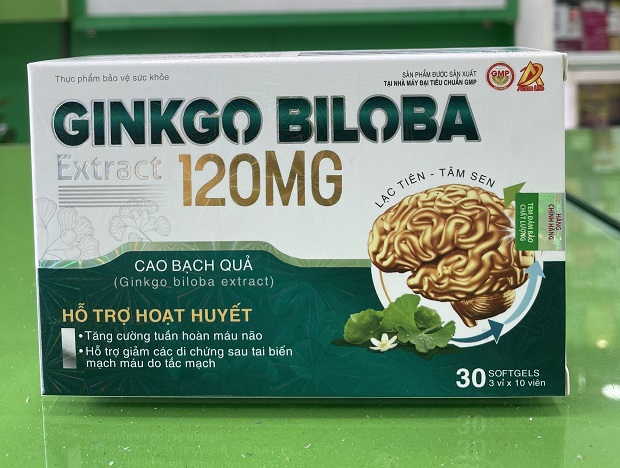 Ginkgo Biloba Extract 120mg