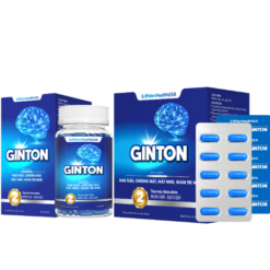 Ginton - Viên uống giảm đau đầu chóng mặt