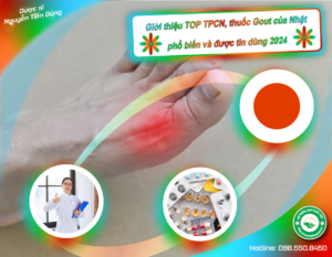 gioi-thieu-top-tpcn-thuoc-gout-cua-nhat-pho-bien-va-duoc-tin-dung-2024