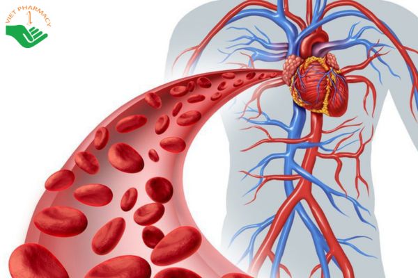 Giúp lưu thông máu tốt hơn