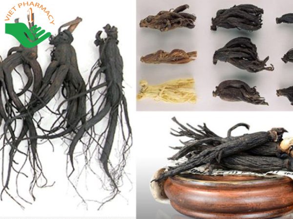 Hắc sâm Hàn Quốc đang được coi là “thần dược” hiện nay