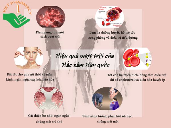 Hắc sâm Hàn Quốc mang đến cho sức khỏe chúng ta những tác dụng bất ngờ