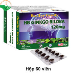 Viên uống HB GINKGO BILOBA 120mg hỗ trợ tăng tuần hoàn não