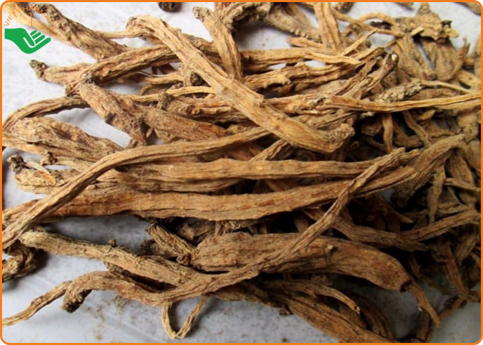 hinh-anh-re-sam-day-ngoc-linh-phoi-kho Hình ảnh rễ Sâm dây Ngọc Linh phơi khô