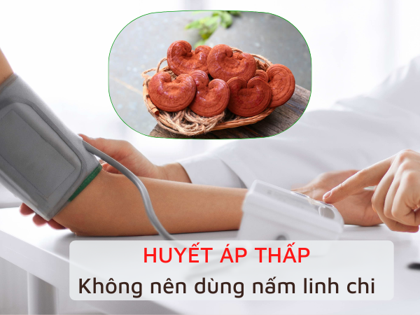 Người bị huyết áp thấp không nên dùng nấm linh chi