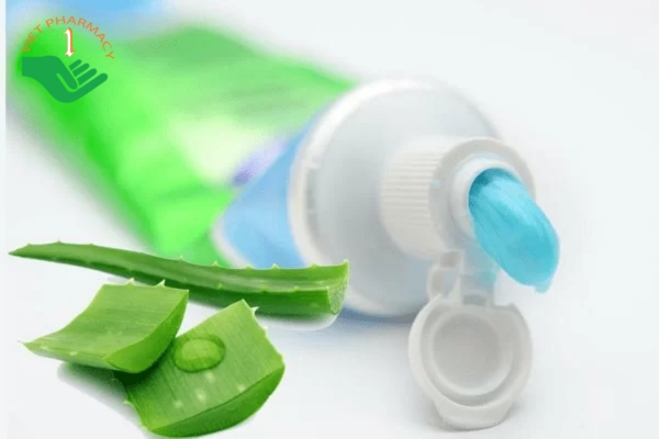 Kết hợp kem đánh răng với nha đam giúp cải thiện làn da trắng sáng
