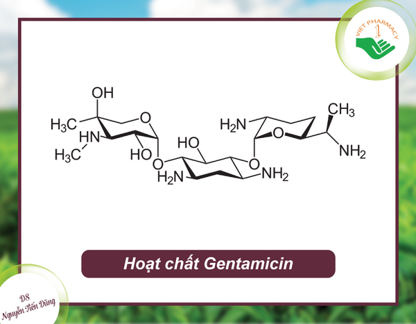 Kháng sinh Gentamicin là hoạt chất có trong sản phẩm