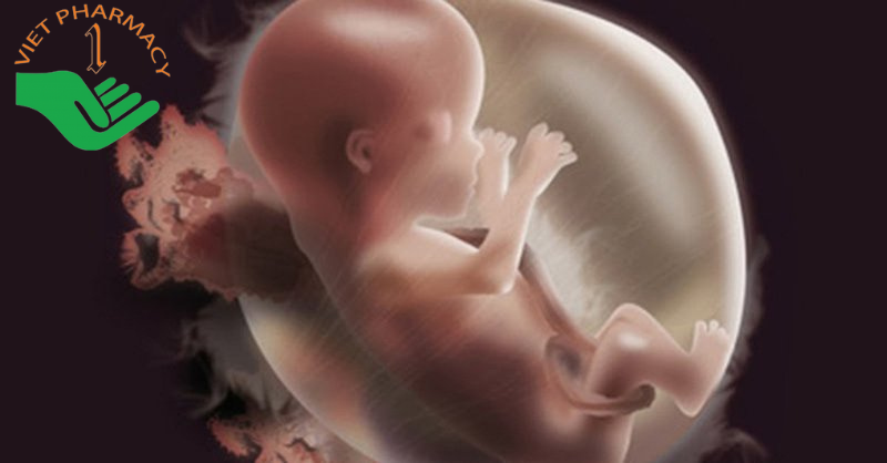 Mẹ bầu bị đa nước ối không nên uống nước dừa ở những tháng cuối thai kỳ