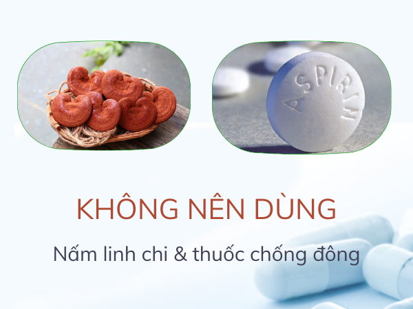 Không dùng nấm linh chi chung với thuốc chống đông máu