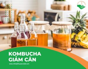 kombucha-giam-can