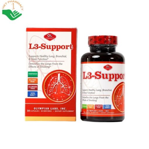 L3-Support