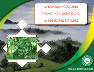 la-sam-day-ngoc-linh-thanh-phan-cong-dung-doi-tuong-su-dung-2