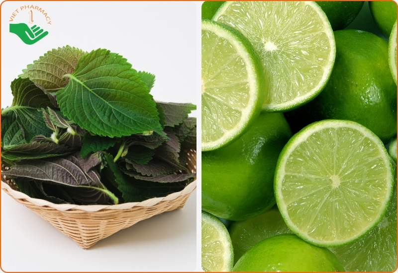 Làm trắng da bằng lá tía tô và chanh