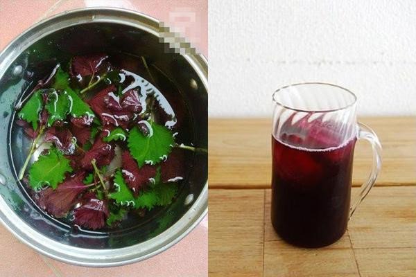 Uống nước tía tô có trắng da không?