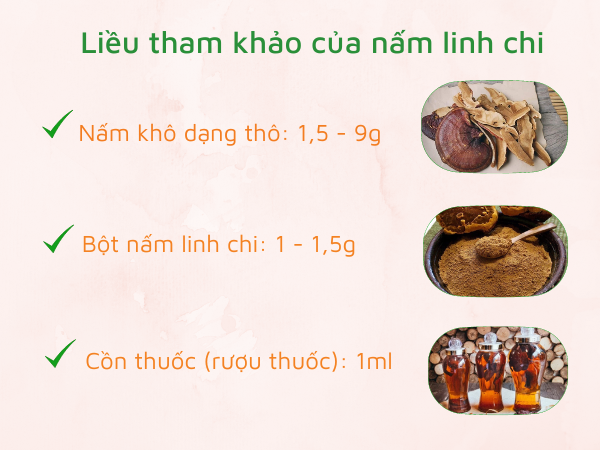 Liều dùng khuyến cáo của nấm linh chi