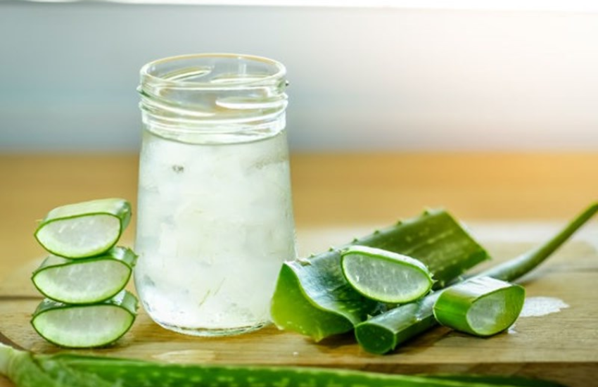 Lộ trình Giảm Cân và Chữa Bệnh Dạ Dày bằng Lô Hội
