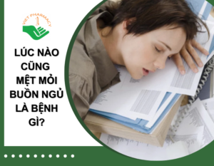 luc-nao-cung-buon-ngu-met-moi-la-benh-gi-thumb