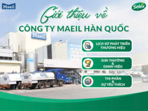 maeil-han-quoc-lot-top-yeu-thich-yeu-khao-sat-realmeter