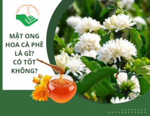 mat-ong-hoa-ca-phe-thumbnail