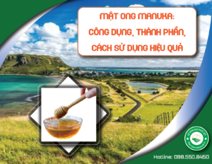 mat-ong-manuka-cong-dung-thanh-phan-cach-su-dung-hieu-qua-1