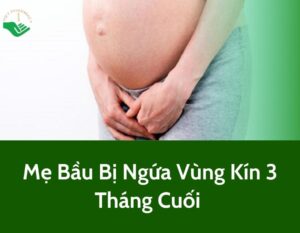 me-bau-bi-ngua-vung-kin-ba-thang-cuoi