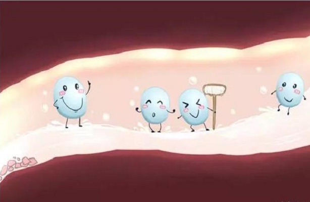 Men tiêu hoá hoạt động như thế nào?